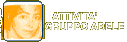  Attività Gruppo Abele